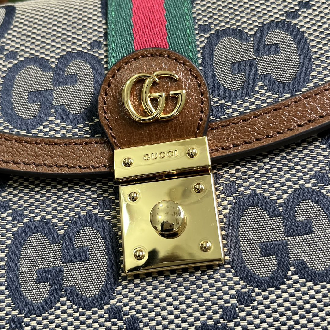 Gvc*1 Ophidia Bag
