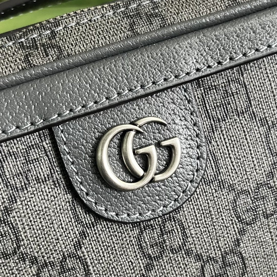 Gvc*1 Ophidia Bag