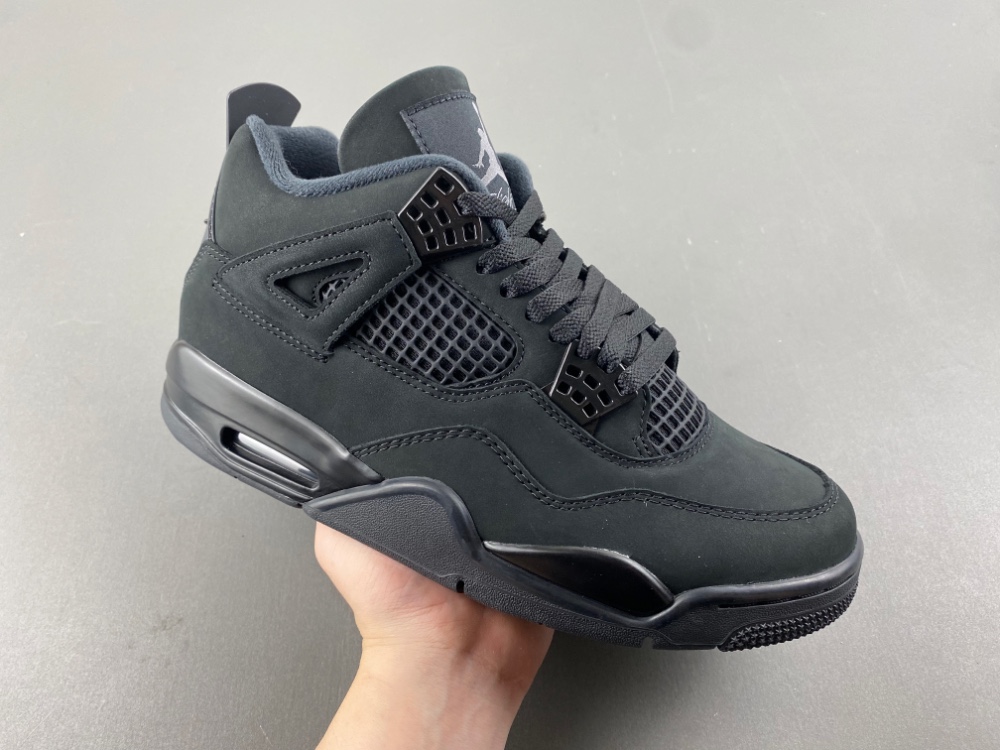 Air Jordan 4 Black Cat 2025 FV5029-010