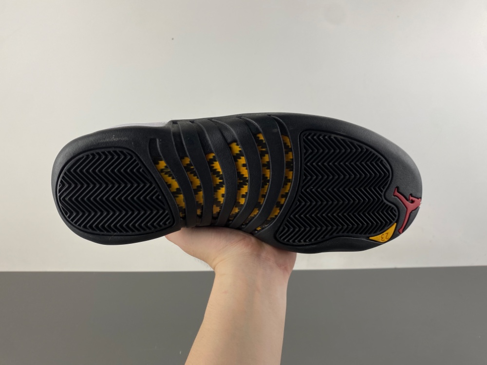 Air Jordan 12 Taxi Retro  CT8013-117
