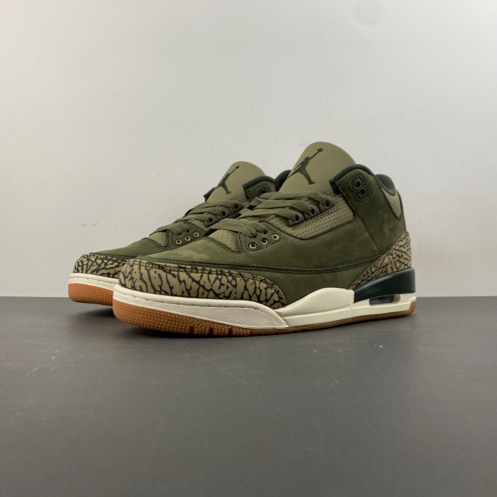 Air Jordan 3 Family Affair DN3707-202