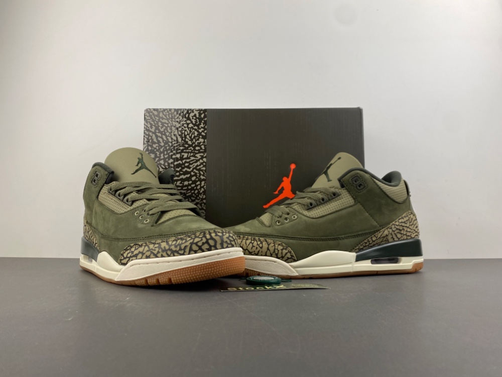 Air Jordan 3 Family Affair DN3707-202