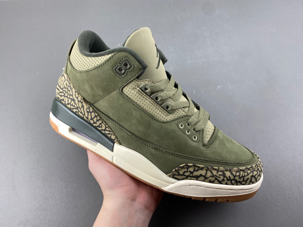 Air Jordan 3 Family Affair DN3707-202