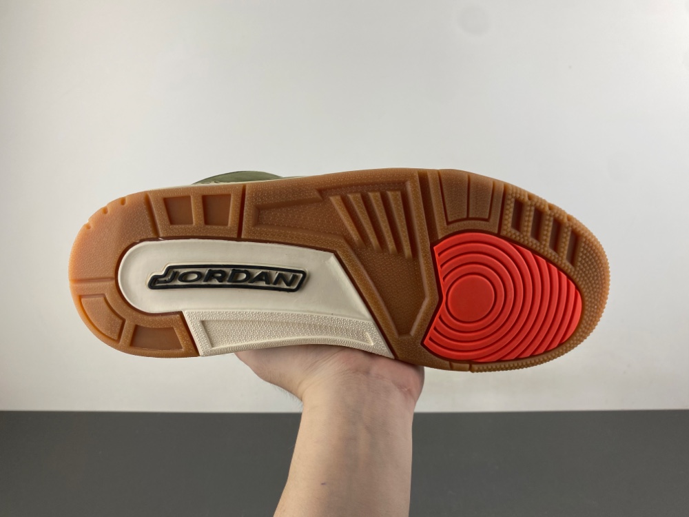 Air Jordan 3 Family Affair DN3707-202