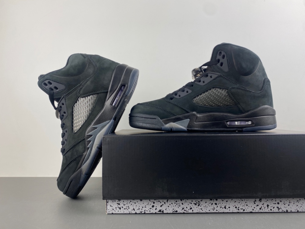 Jordan Air Jordan 5 Black Cat FZ2239-001