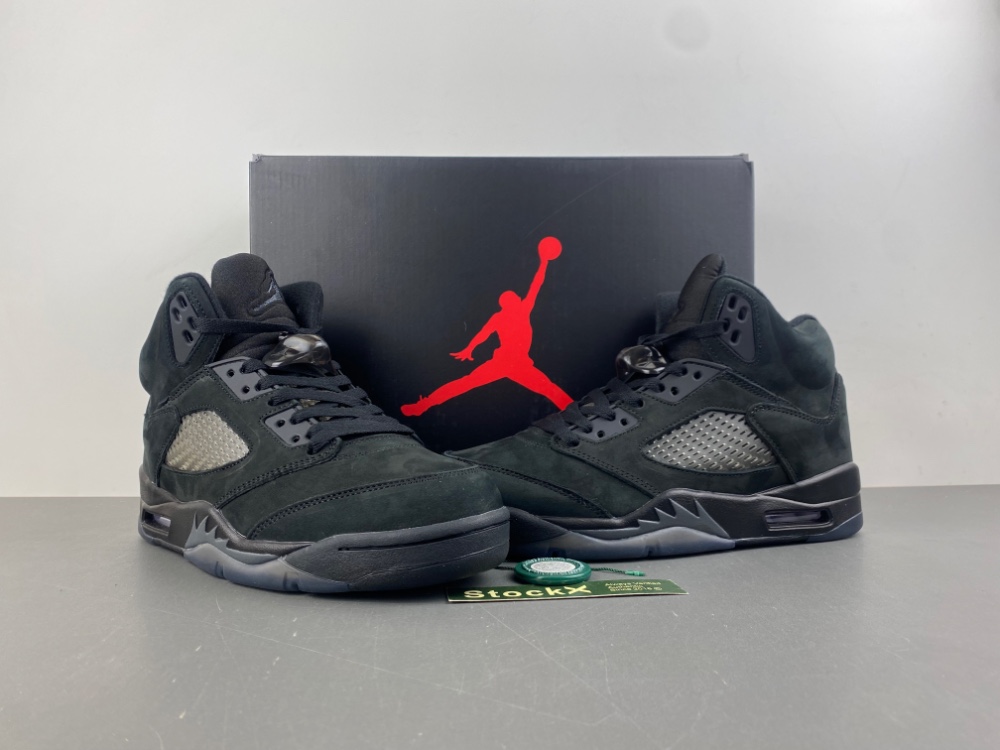 Jordan Air Jordan 5 Black Cat FZ2239-001