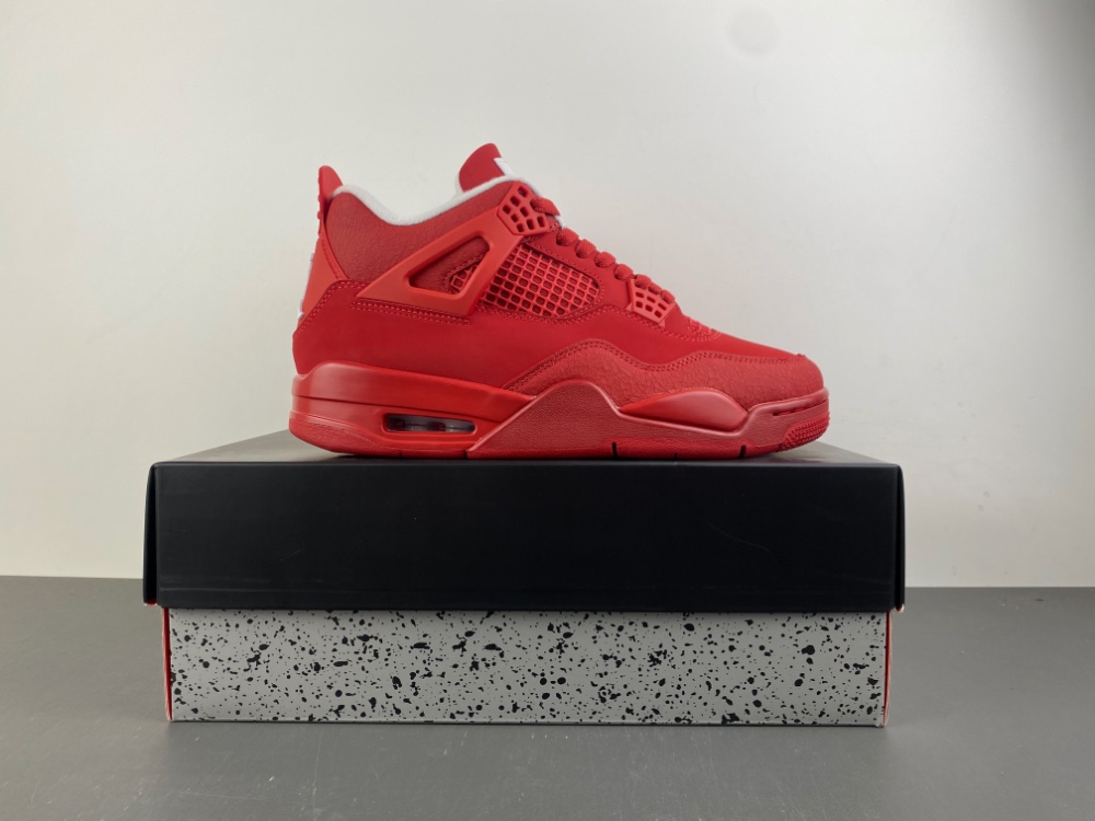 Air Jordan 4 FV5029-600