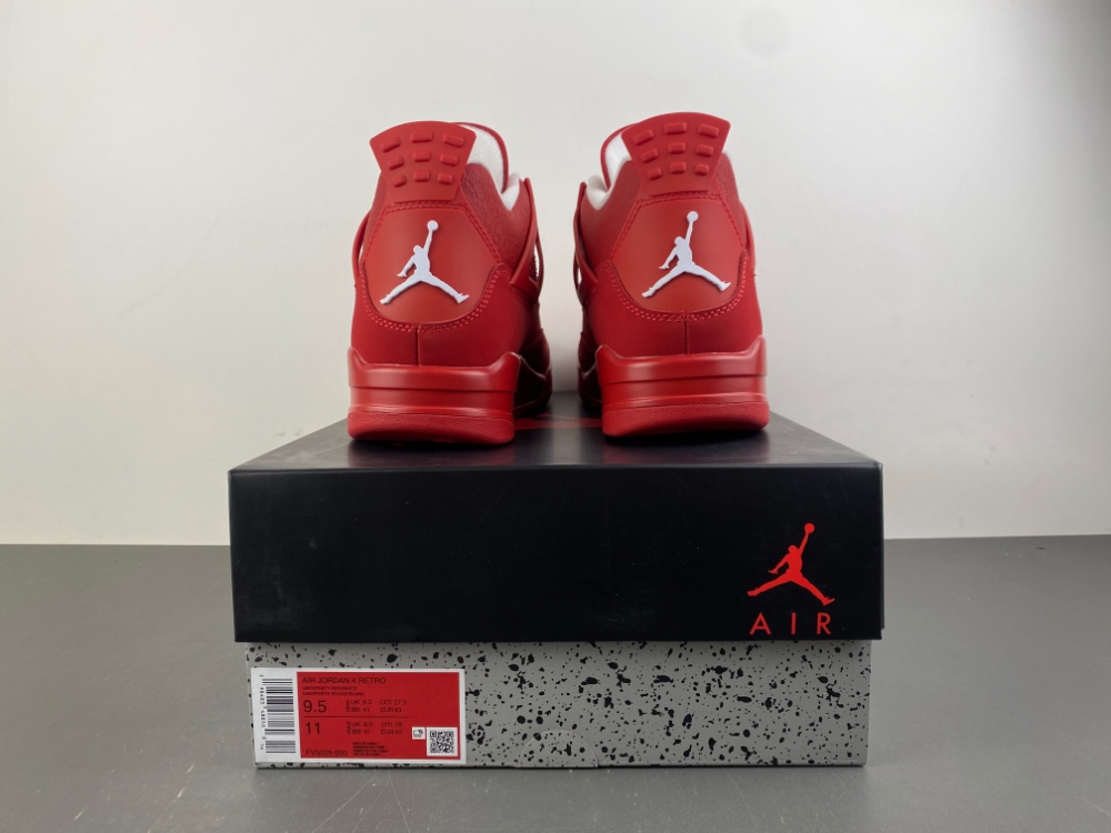 Air Jordan 4 FV5029-600