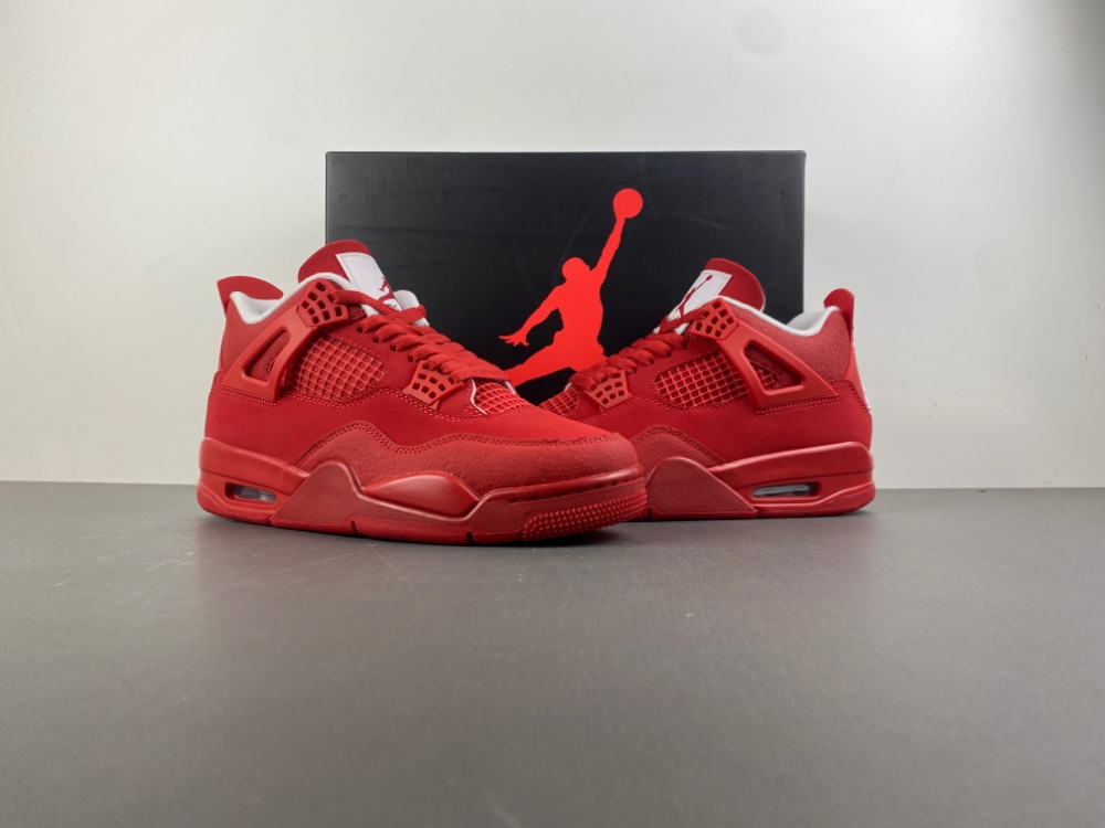 Air Jordan 4 FV5029-600