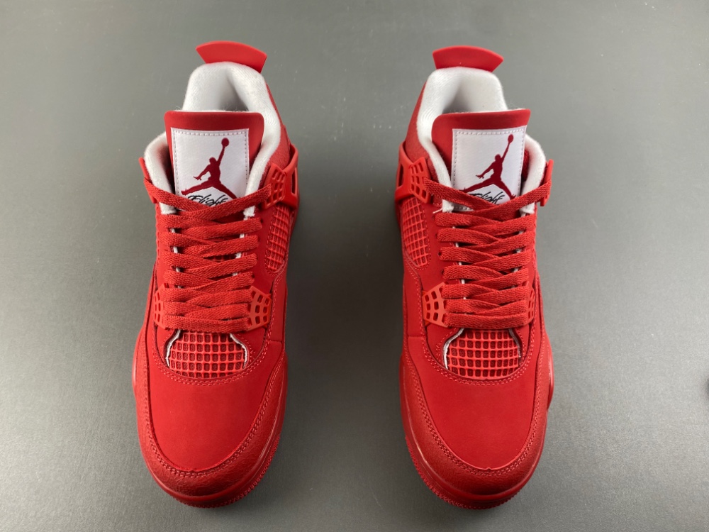 Air Jordan 4 FV5029-600