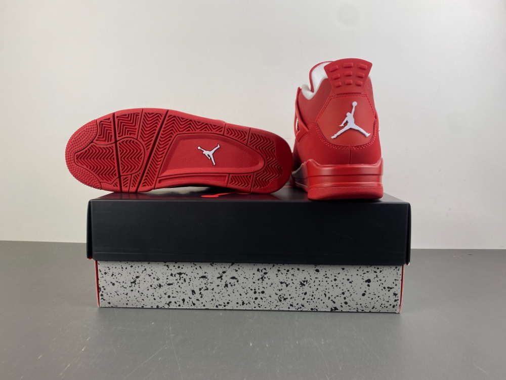 Air Jordan 4 FV5029-600